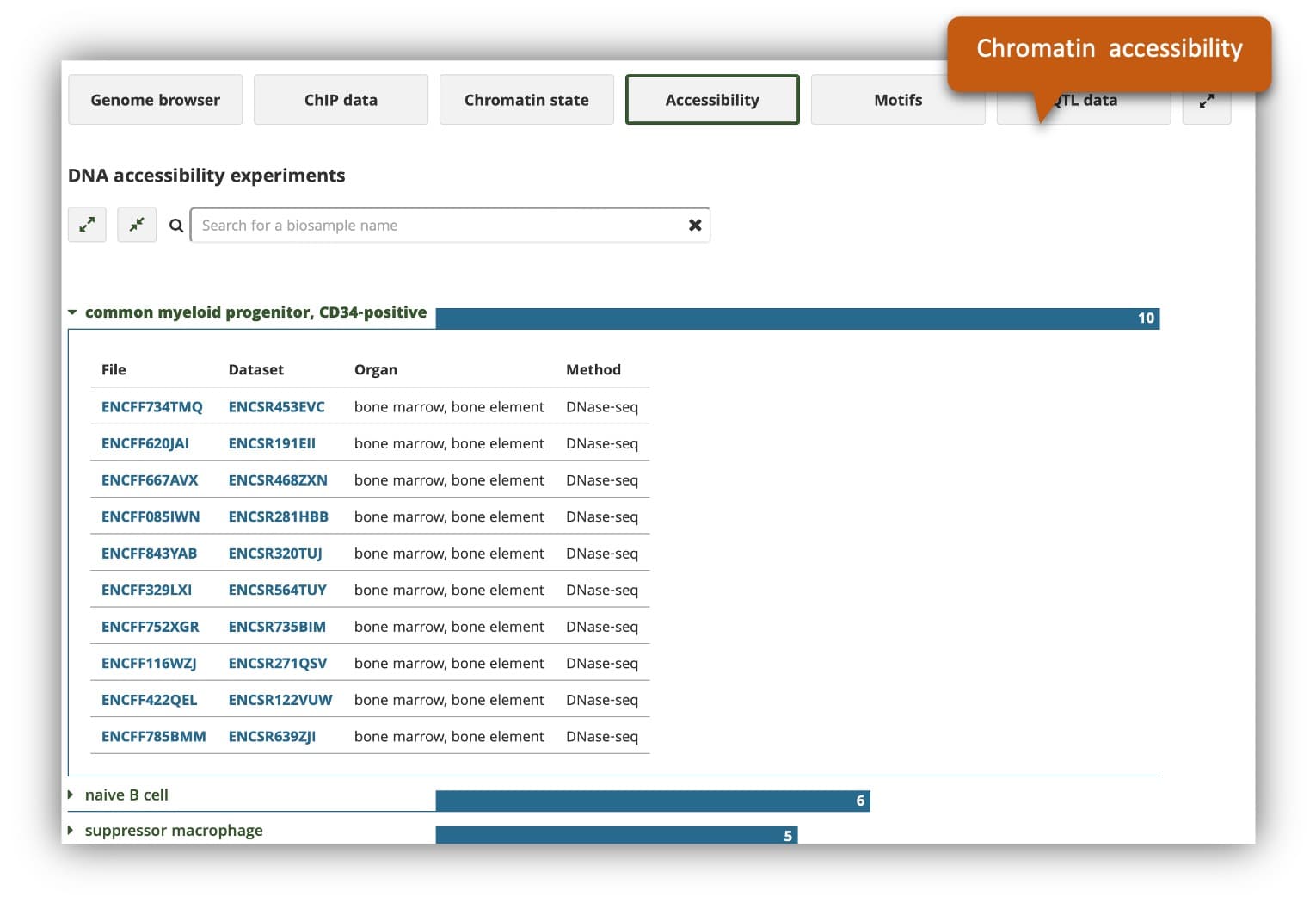 image of accessibility data view