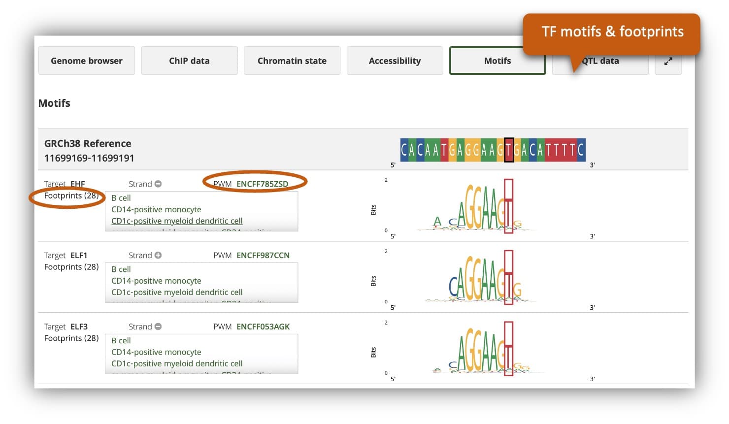 image of motifs data view