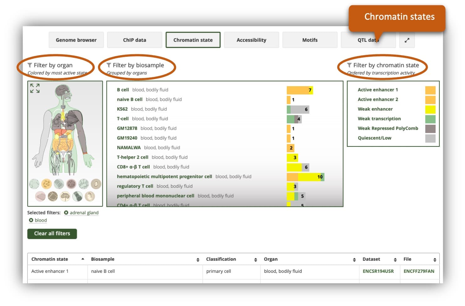 image of chromatin states data view