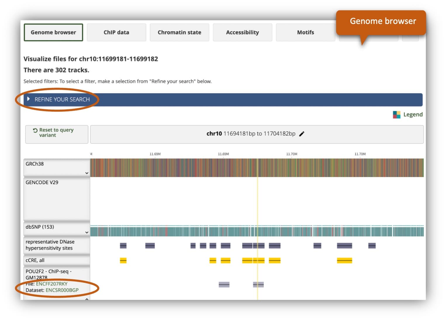 image of genome browser view